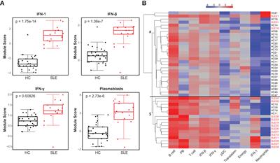 Expansion of extrafollicular B and T cell subsets in childhood-onset systemic lupus erythematosus